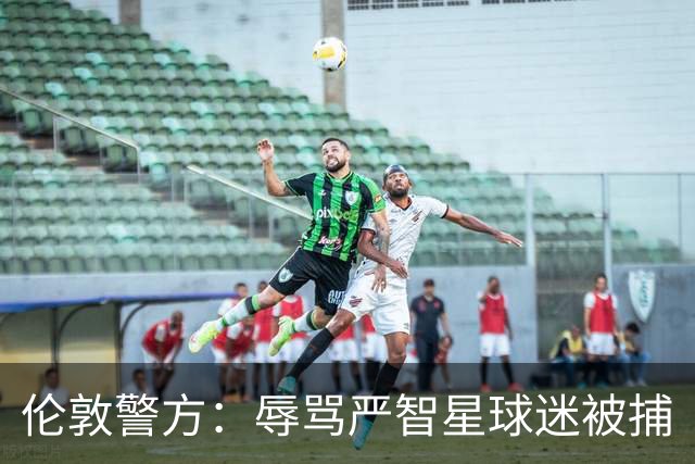 伦敦警方：辱骂严智星球迷被捕