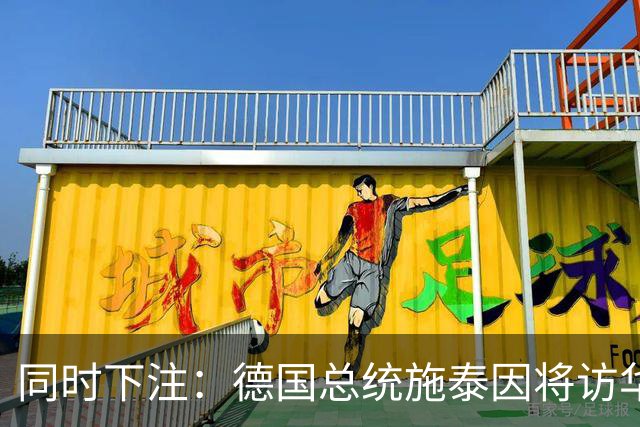 同时下注：德国总统施泰因将访华，几乎同时总理默茨将访问日本