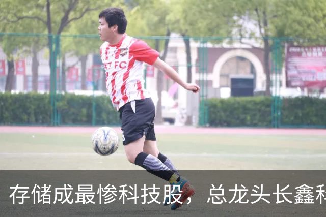存储成最惨科技股，总龙头长鑫科技大跌30%，逼近上市以来低点，德明利、兆易创新等四大10倍牛股竟跌去7成，专家称当前不宜过度悲观